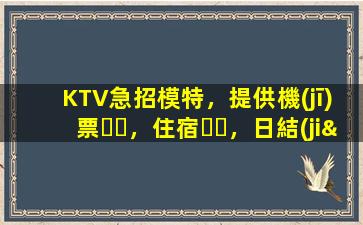 KTV急招模特，提供機(jī)票，住宿，日結(jié)